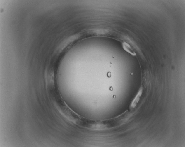 X0000083530212200702161920