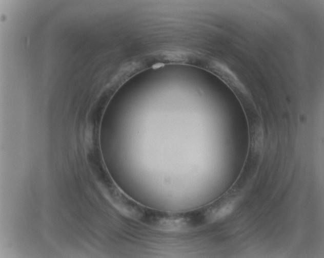 X0000083530213200702161920