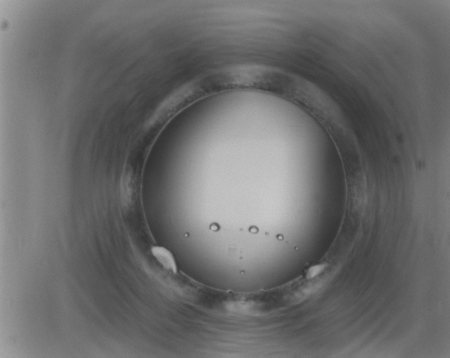 X0000083530216200702161920