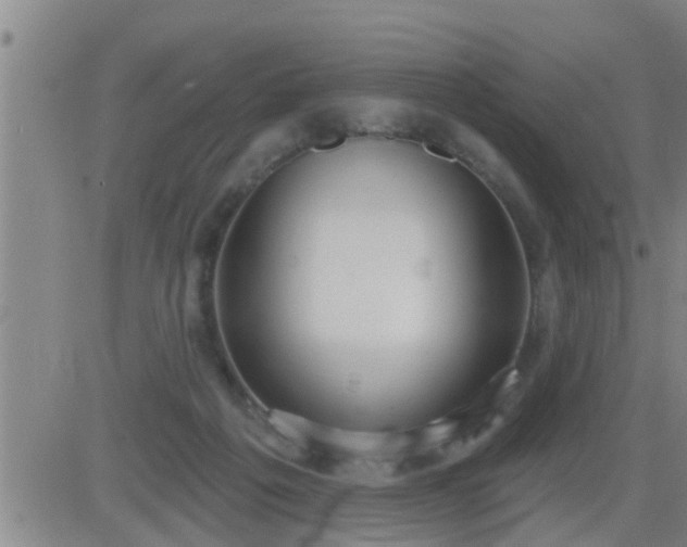 X0000083530217200702161920