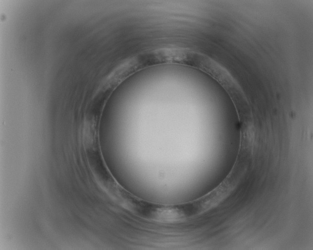 X0000083530218200702161920