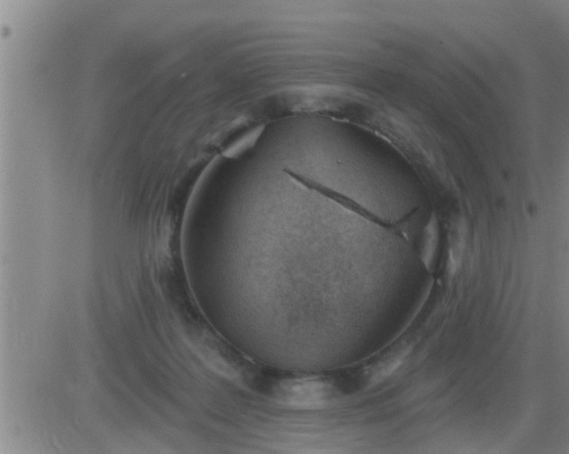 X0000083530219200702161920