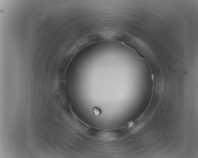 X0000083530221200702161920