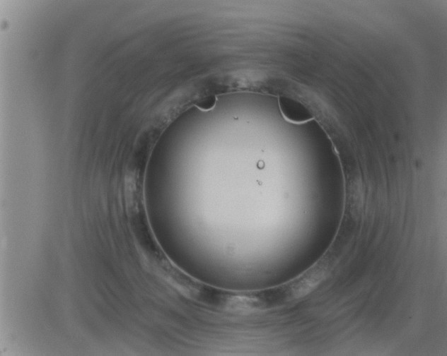 X0000083530222200702161920