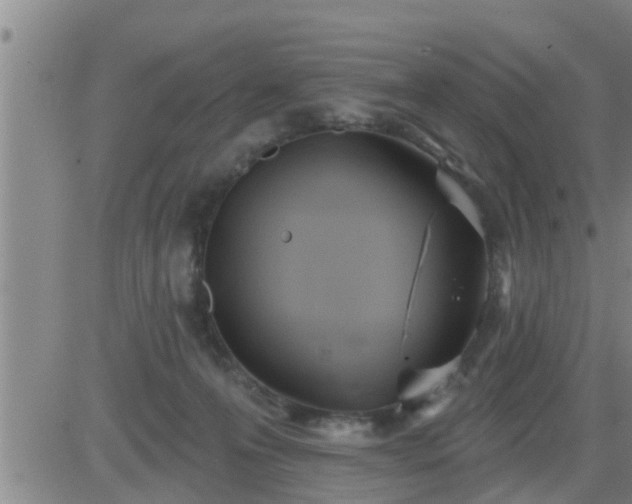 X0000083530223200702161920