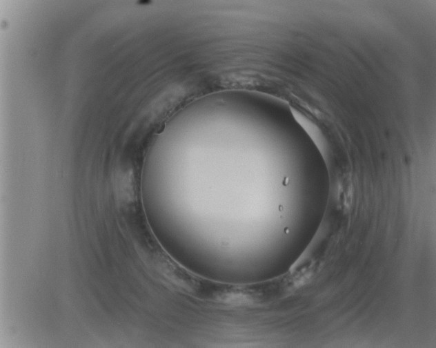 X0000083530224200702161920