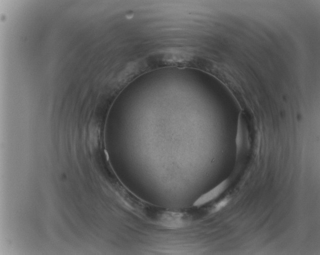 X0000083530227200702161920