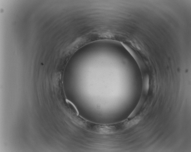 X0000083530229200702161920