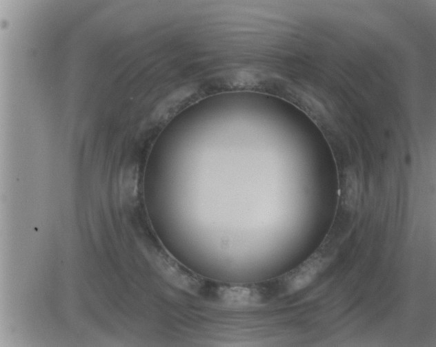 X0000083530230200702161920