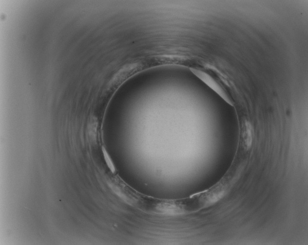 X0000083530231200702161920