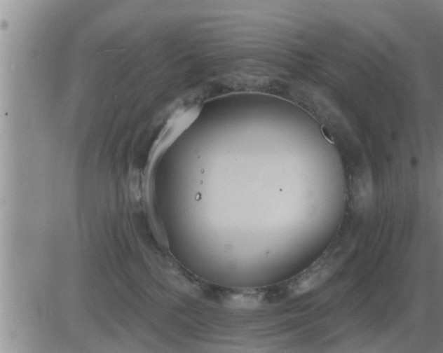 X0000083530232200702161920