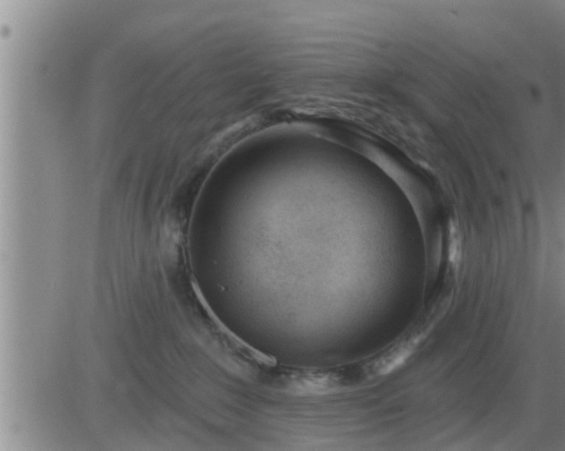 X0000083530235200702161920