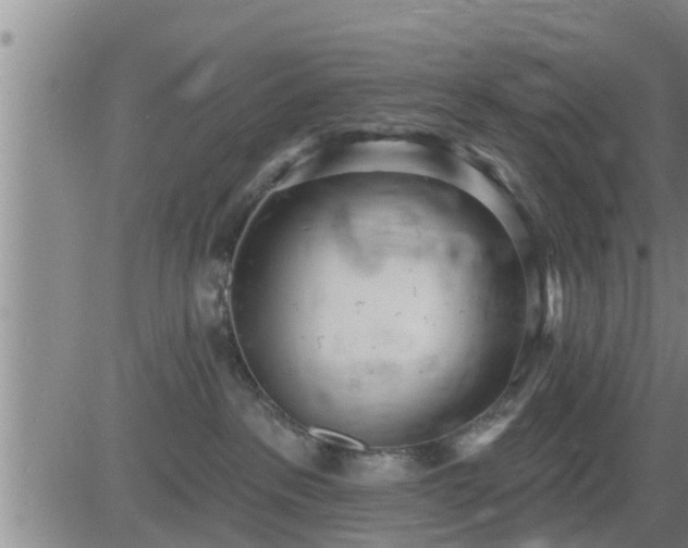 X0000083530237200702161920