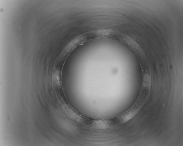 X0000083530238200702161920