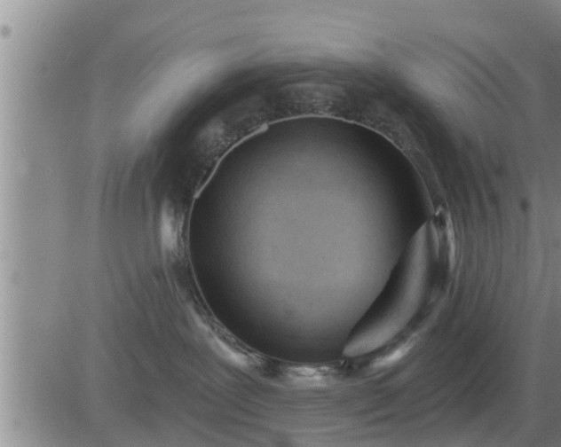 X0000083530239200702161920