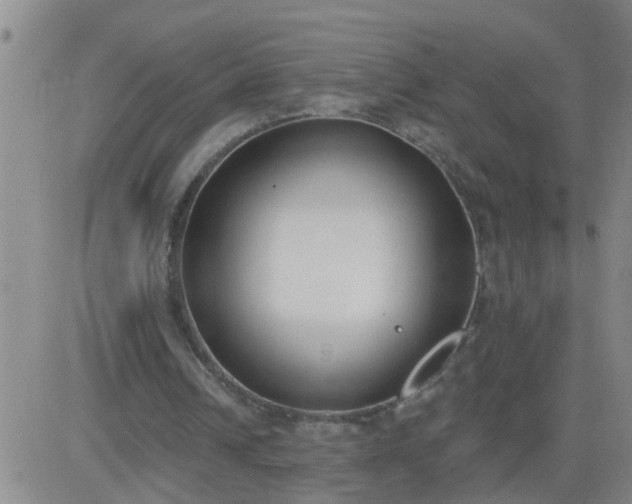 X0000083530242200702161919