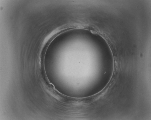 X0000083530246200702161919