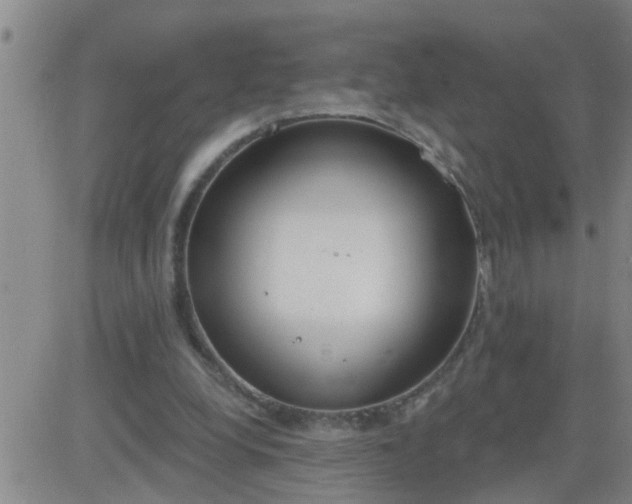 X0000083530248200702161919