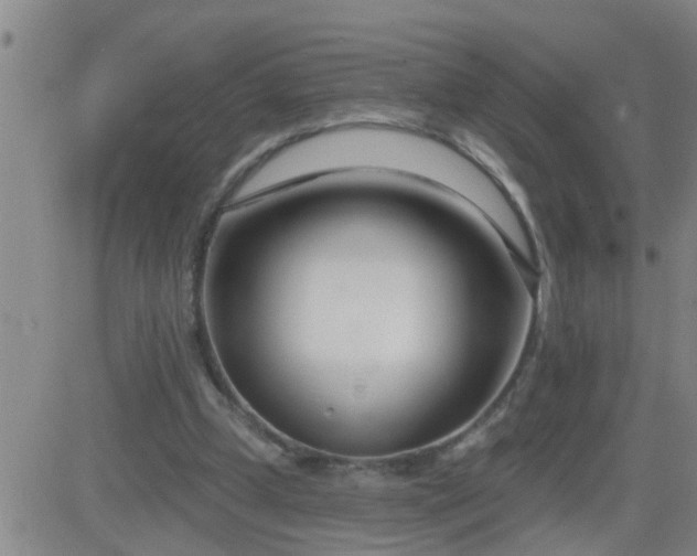 X0000083530249200702161919