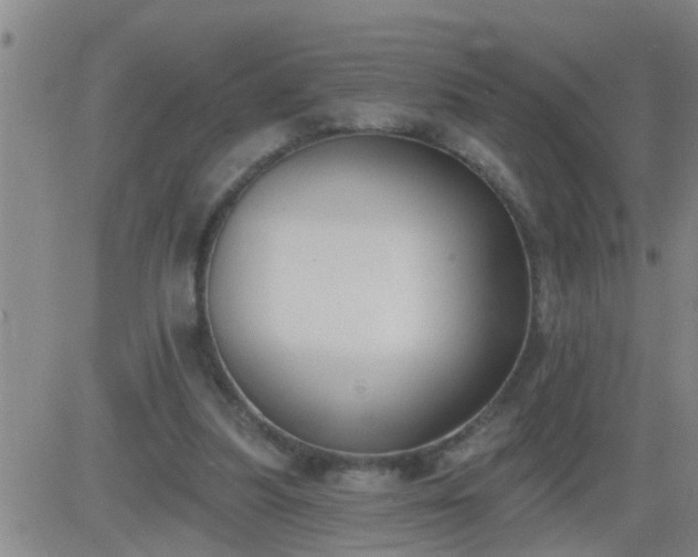 X0000083530251200702161919