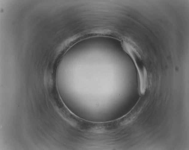 X0000083530252200702161919