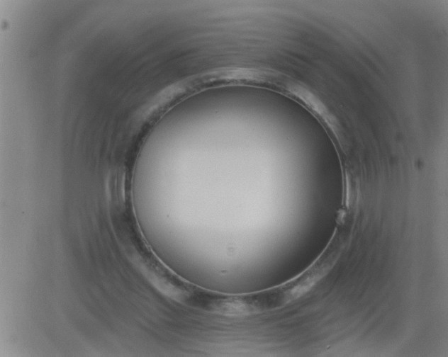 X0000083530253200702161919