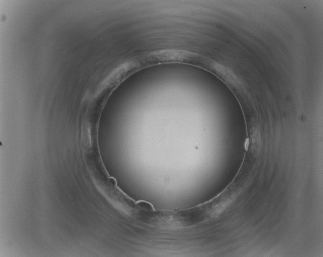 X0000083530254200702161919