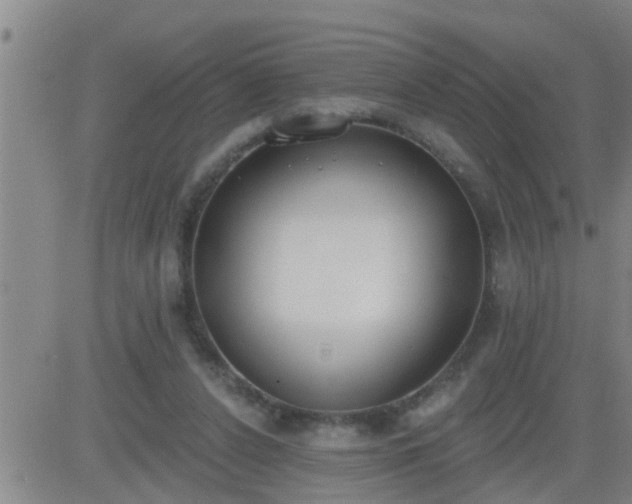 X0000083530256200702161919