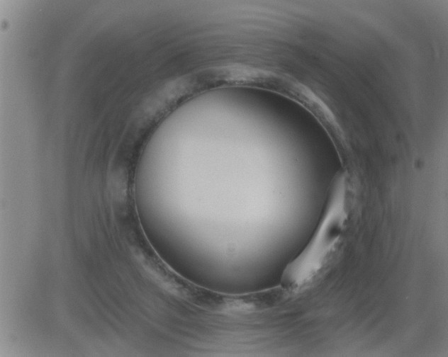 X0000083530257200702161919