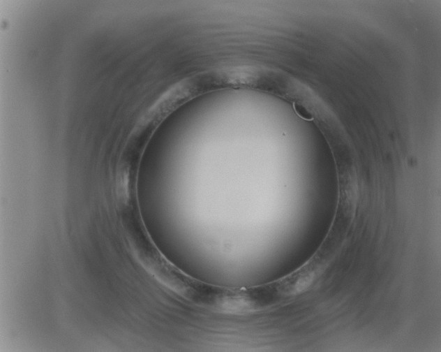 X0000083530262200702161920