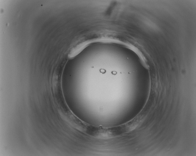 X0000083530263200702161920