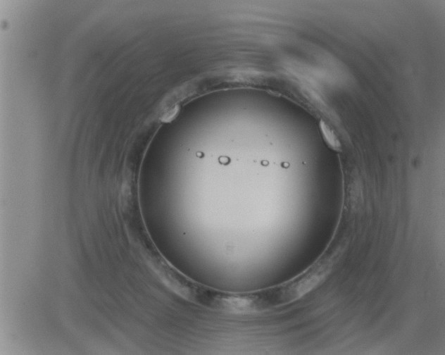 X0000083530265200702161920