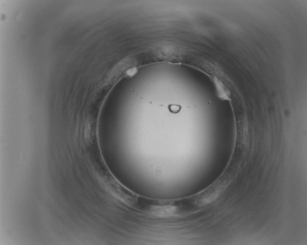 X0000083530266200702161920