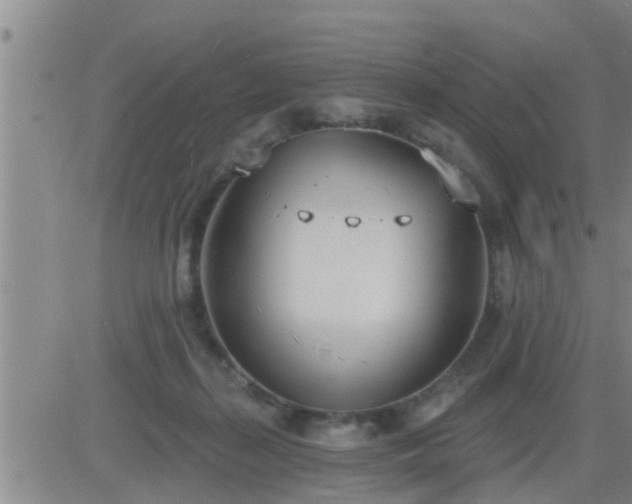 X0000083530267200702161920