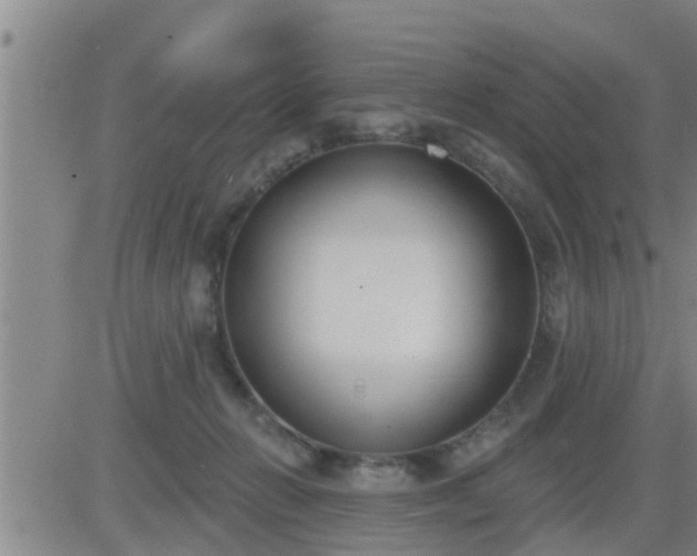 X0000083530270200702161920