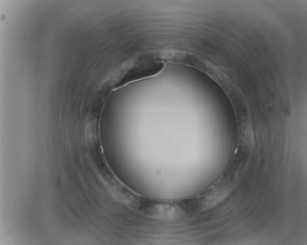 X0000083530272200702161920