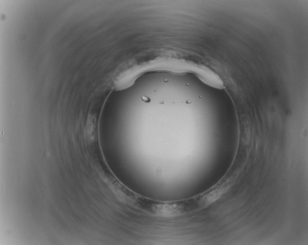 X0000083530273200702161920