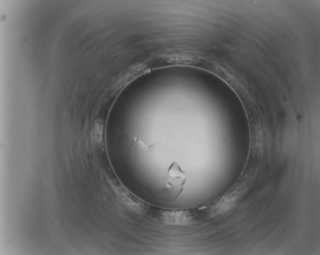 X0000083530281200702161920