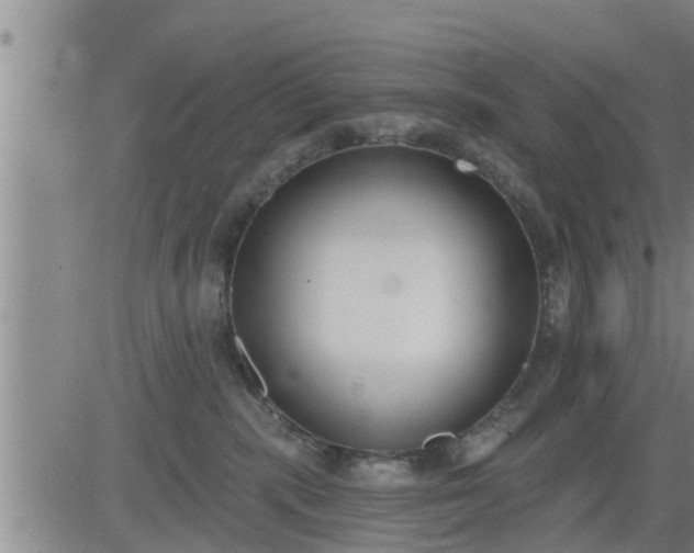 X0000083530283200702161920