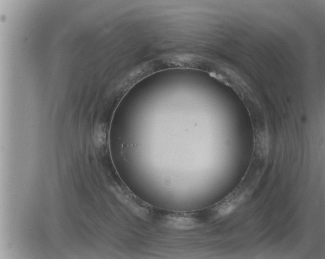 X0000083530284200702161920