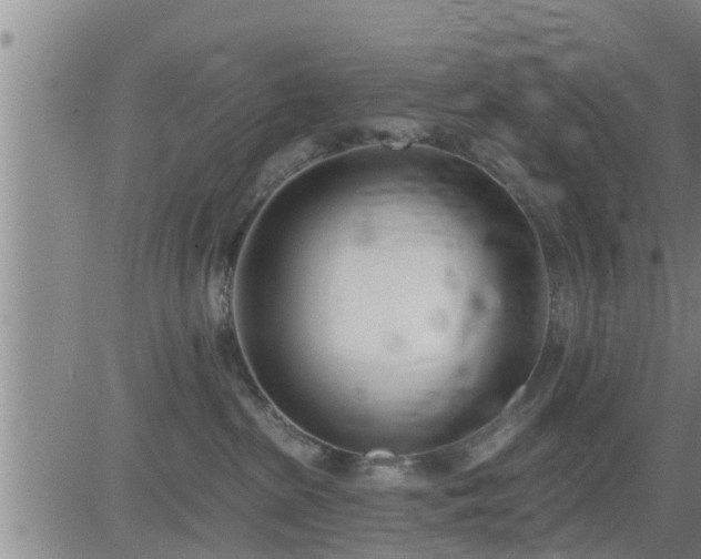 X0000083530285200702161920