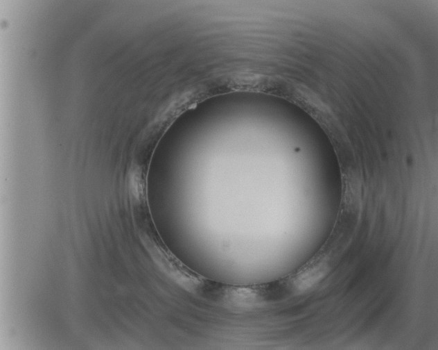 X0000083530287200702161920