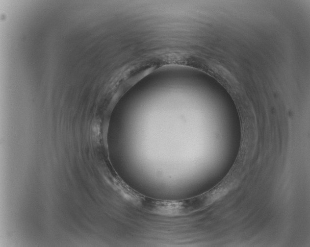 X0000083530288200702161920