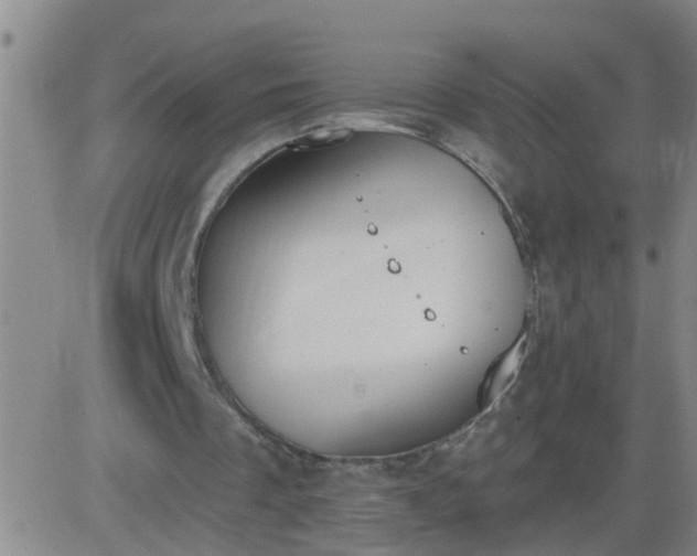 X0000083530289200702161919