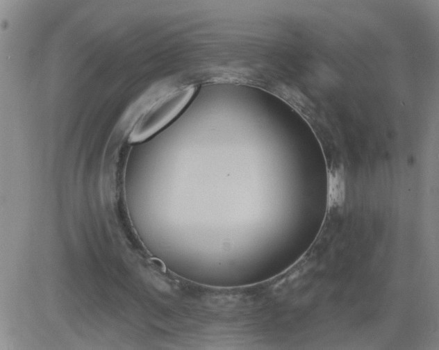 X0000083530291200702161919