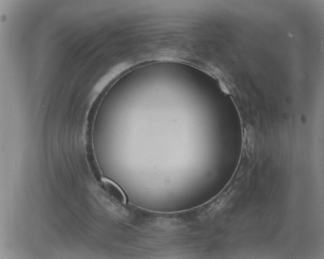 X0000083530292200702161919