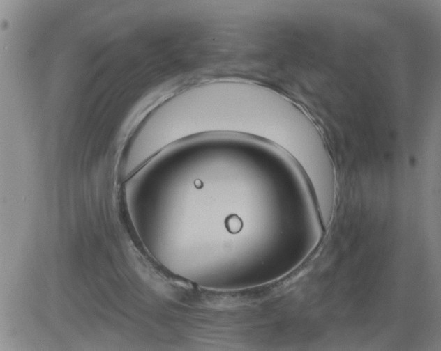 X0000083530293200702161919