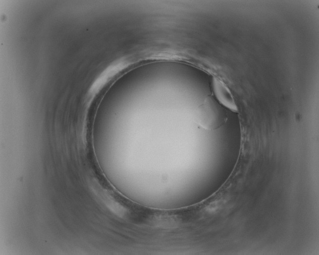 X0000083530296200702161919