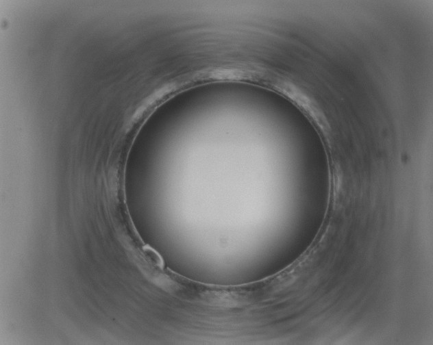 X0000083530297200702161919