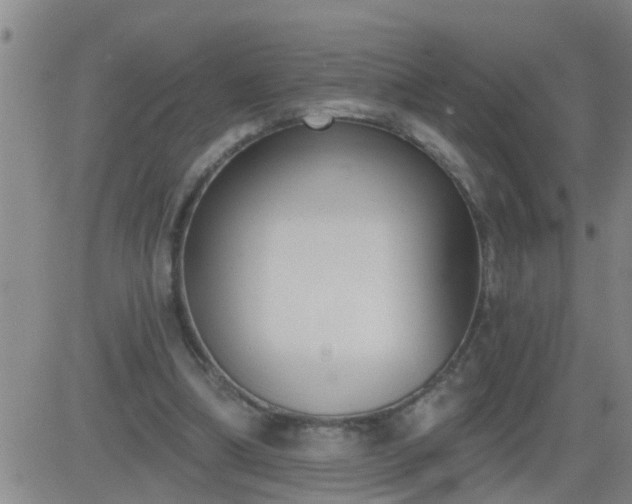 X0000083530298200702161919